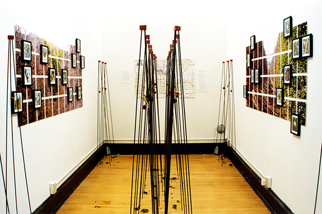 orange grove project